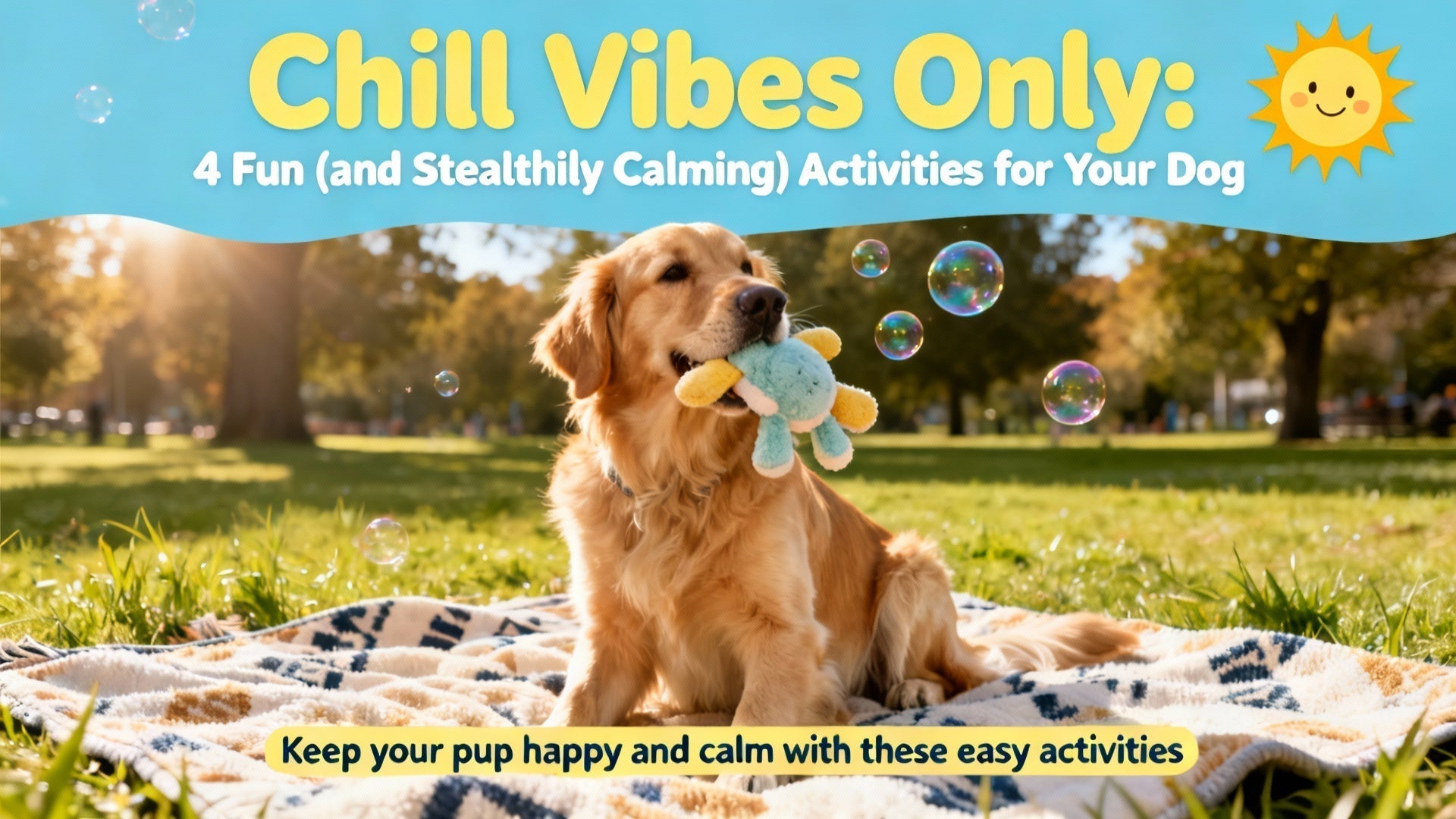 4 Fun & Calming Activities for Dogs