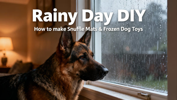 Rainy Day DIY: Snuffle Mats & Frozen Dog Toys