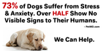 Dog lying down with text about stress and anxiety in dogs, sourced from PetMD.com