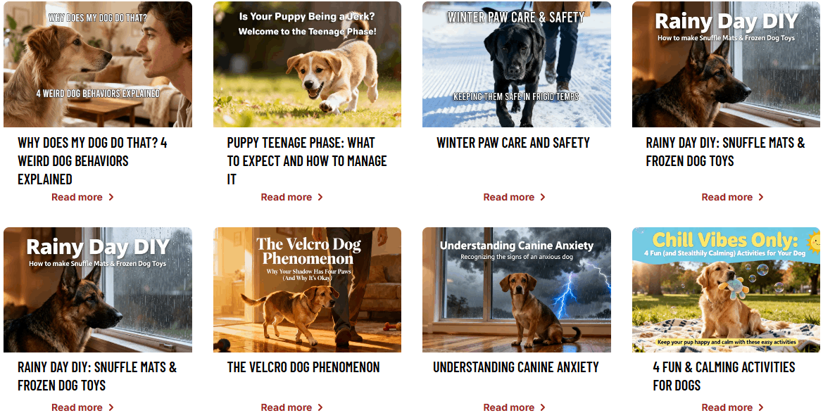 A series of dog related images and excerpts from Sea Biskitz - Dog Blog