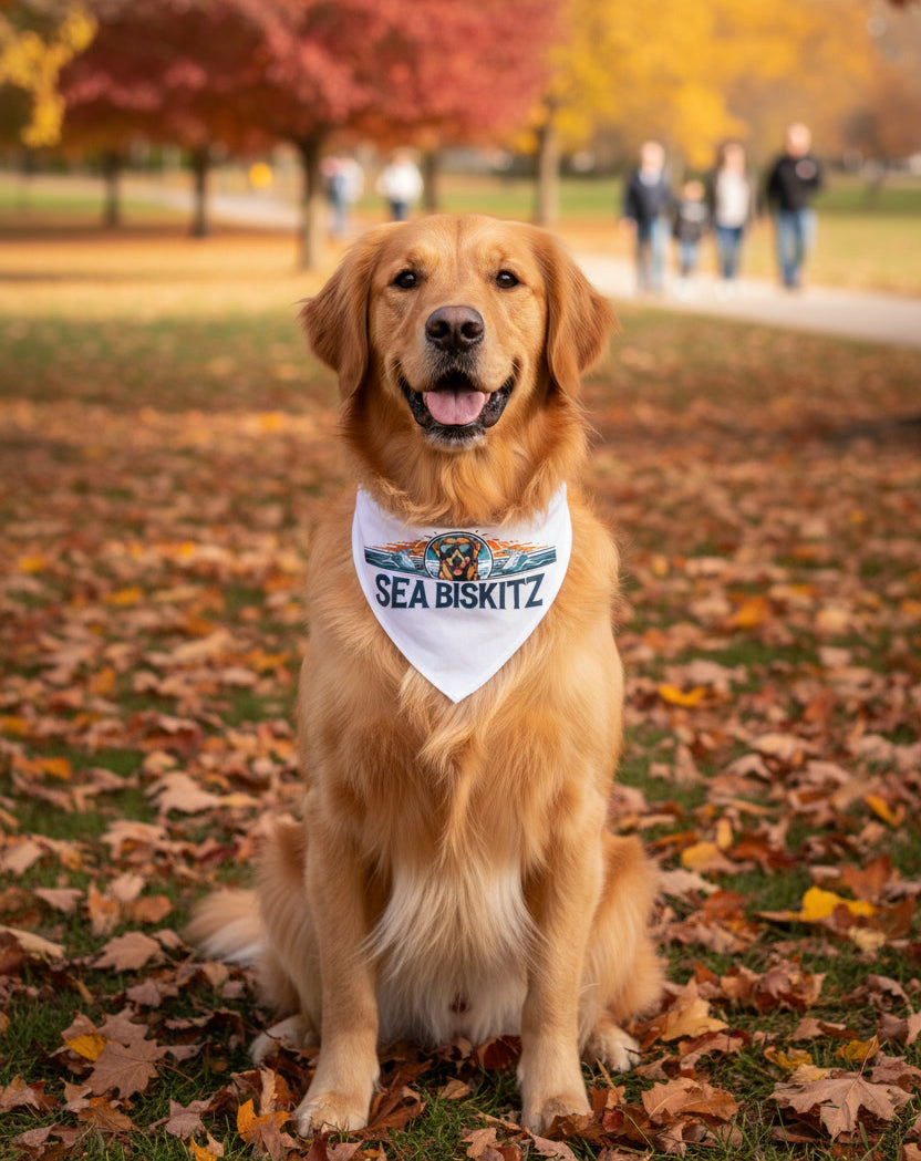 Golden retriever wearing a 'Sea Biskitz' bandana sitting in a park with autumn leaves.