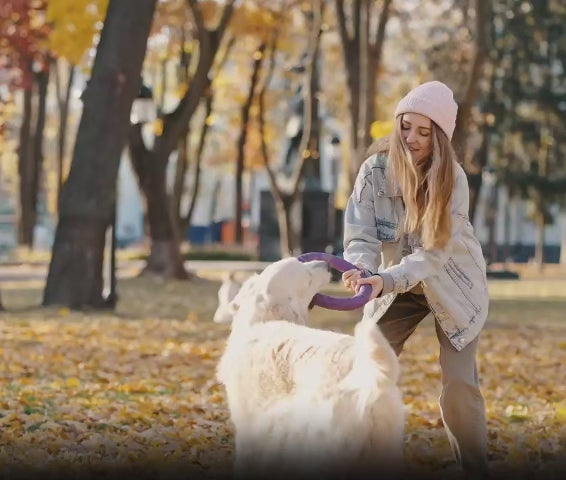Girl playing with her dog